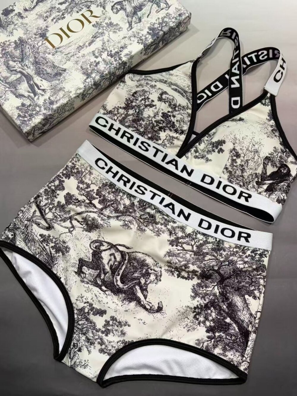Dior Bikinis